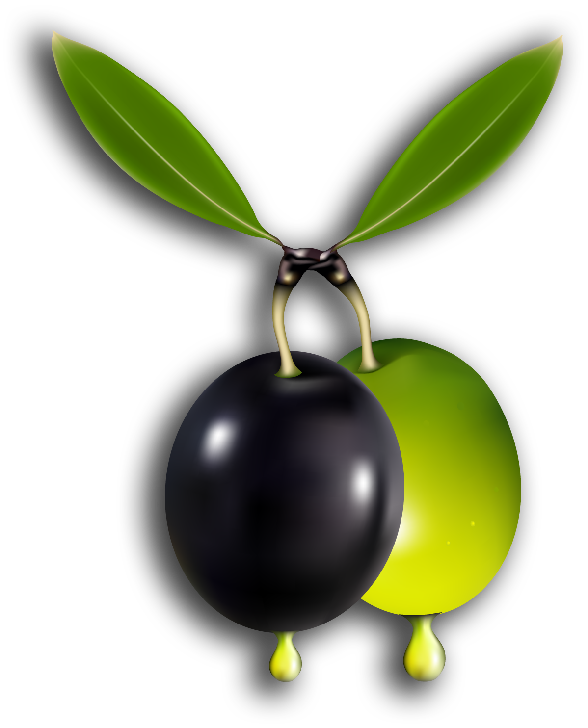 ΑΦΟΙ ΦΟΥΡΛΕΜΑΔΗ Ο.Ε