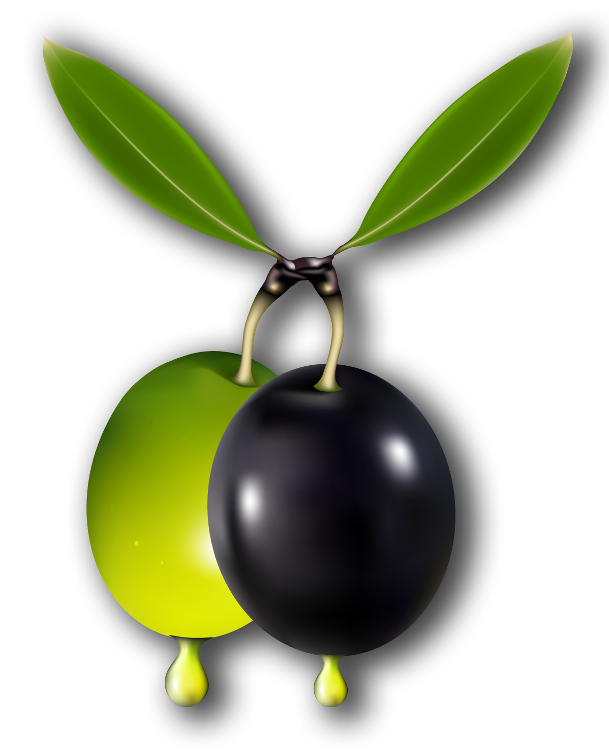 ΑΦΟΙ ΦΟΥΡΛΕΜΑΔΗ Ο.Ε